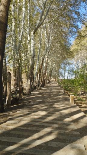 عکس باغ پهلوان پور مهریز