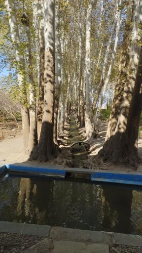 عکس باغ پهلوان پور مهریز