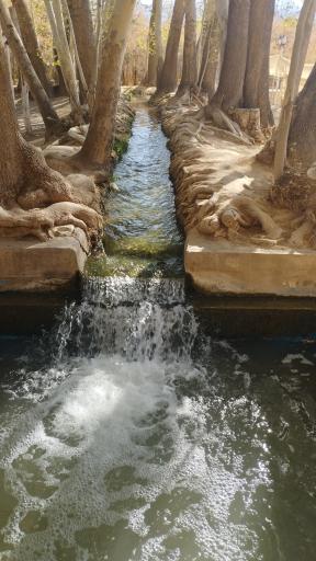 عکس باغ پهلوان پور مهریز