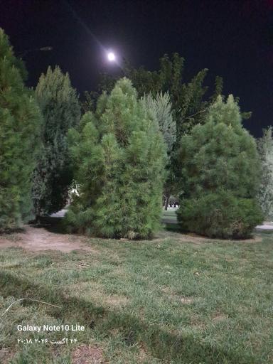 عکس بوستان گل آرا