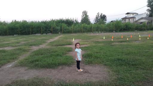 عکس مجموعه ورزشی شهید رجایی نیاکو