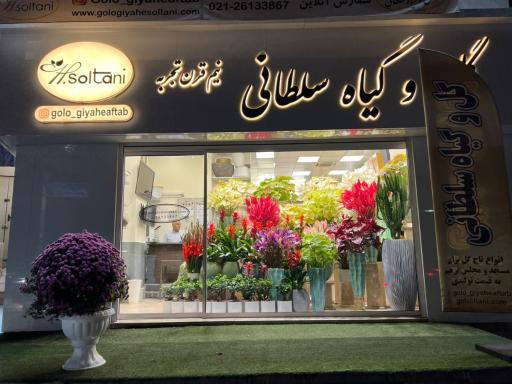 عکس گل فروشی سلطانی