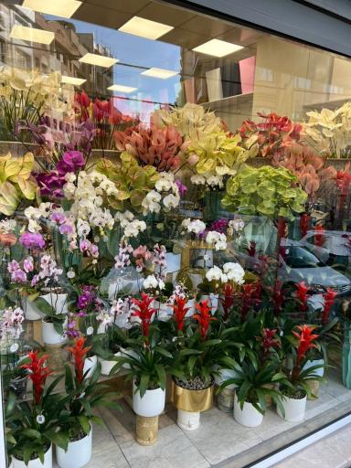 عکس گل فروشی سلطانی