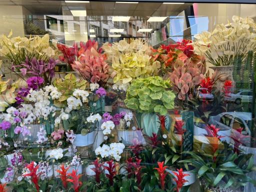 عکس گل فروشی سلطانی