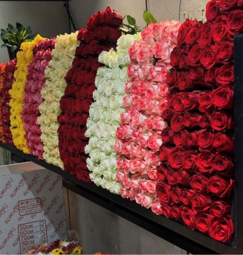 گل فروشی سلطانی