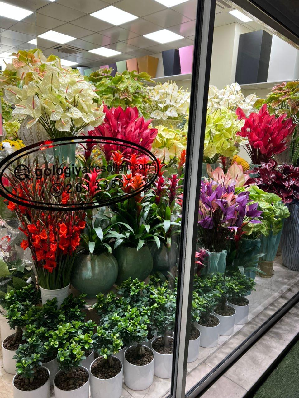 عکس گل فروشی سلطانی