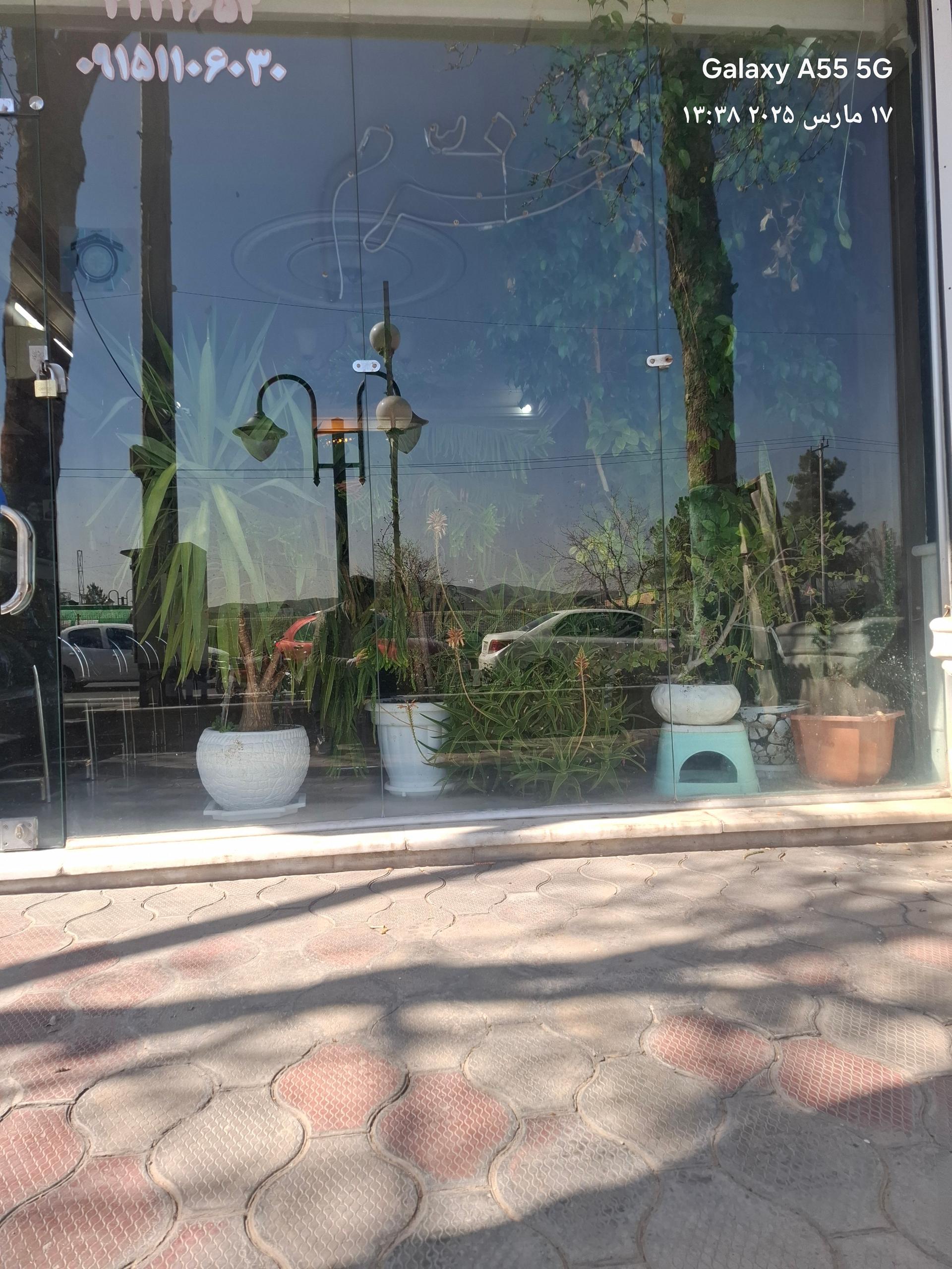 عکس بانگاه خرم