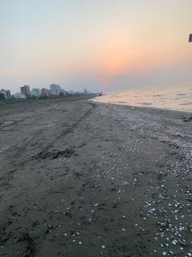 عکس ساحل محمود آباد 
