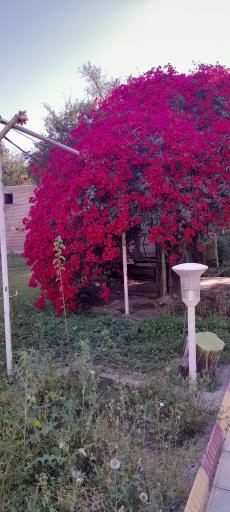 عکس کتابخانه شهید رجایی