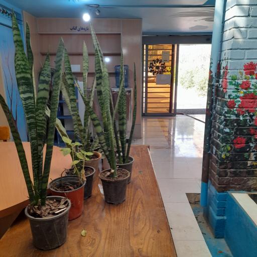 عکس کتابخانه شهید رجایی