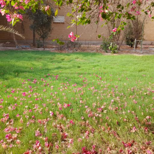 عکس کتابخانه شهید رجایی