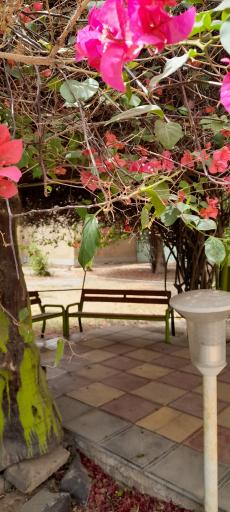 عکس کتابخانه شهید رجایی