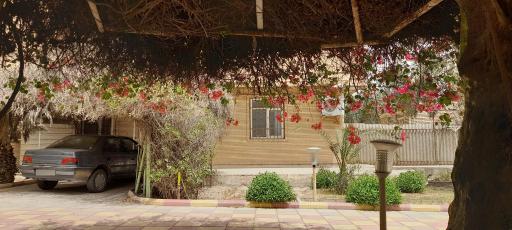 عکس کتابخانه شهید رجایی