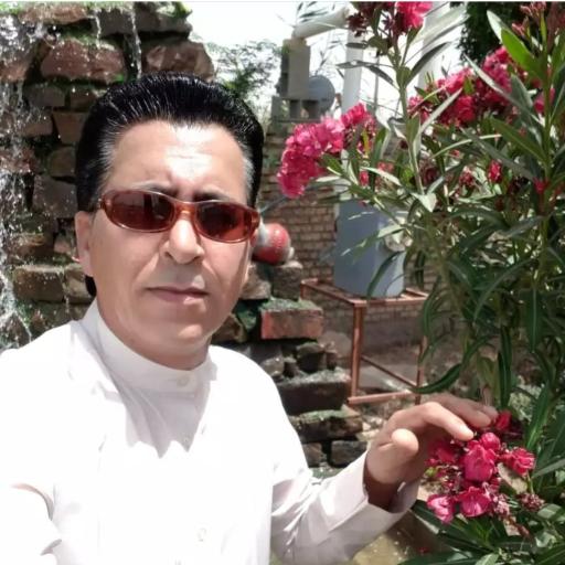 عکس خانه گل