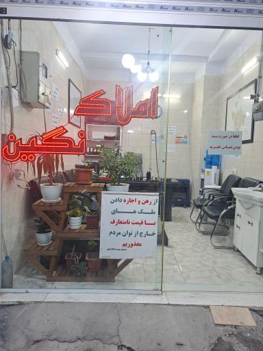 مشاور املاک نگین