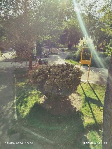 عکس بوستان لت فر 2