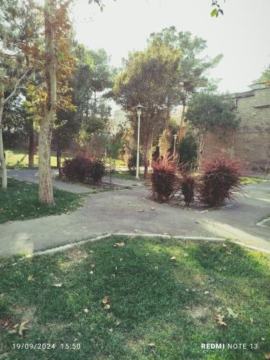 عکس بوستان لت فر 2