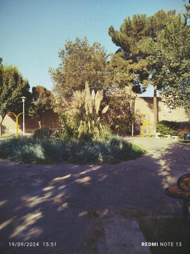 عکس بوستان لت فر 2