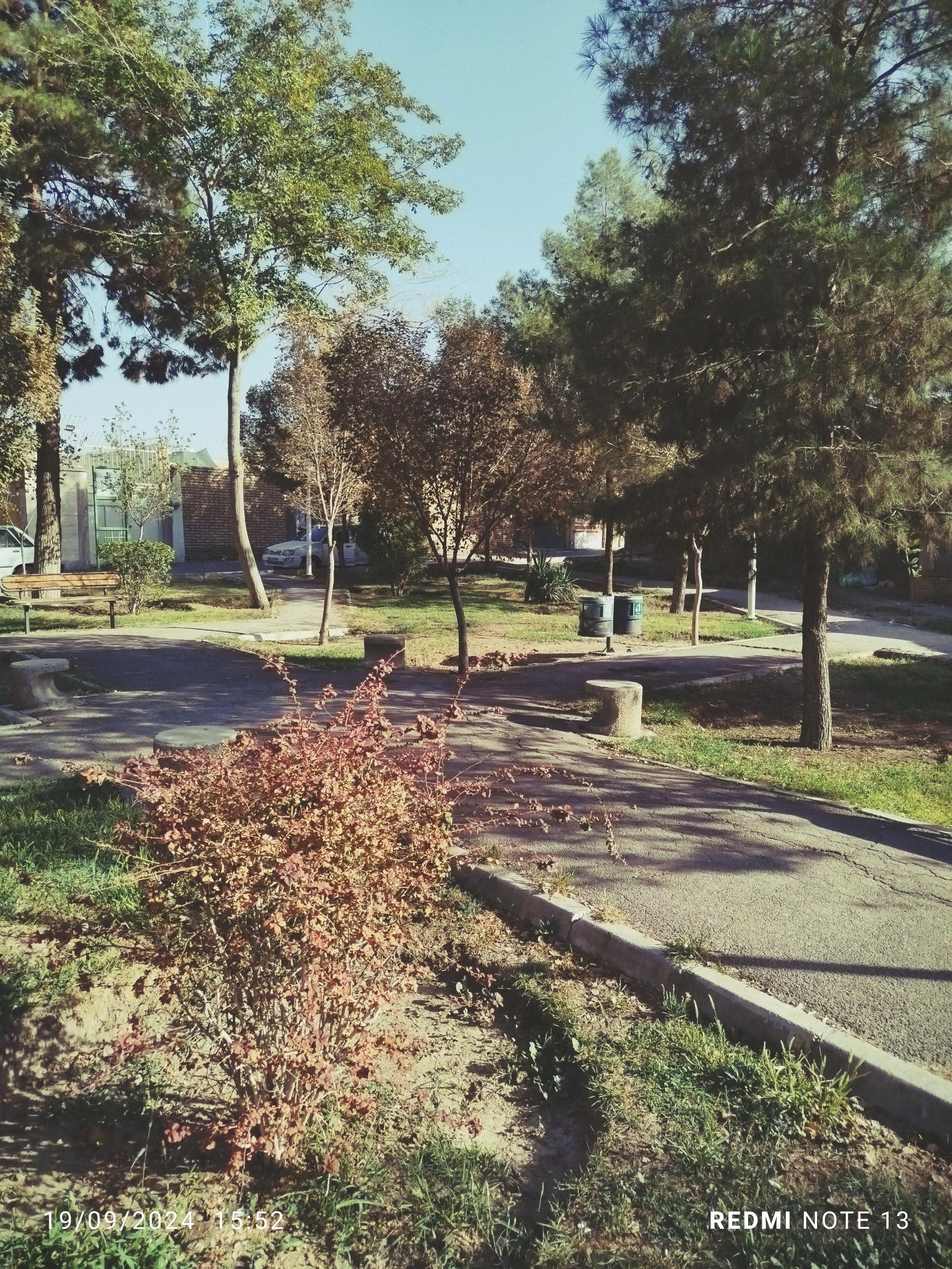 عکس بوستان لت فر 2
