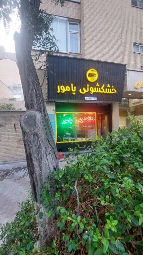 عکس خشکشویی یامور