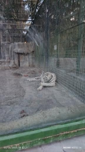 عکس باغ وحش وکیل آباد