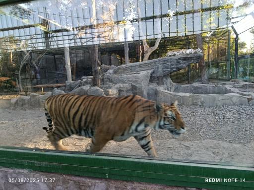 عکس باغ وحش وکیل آباد