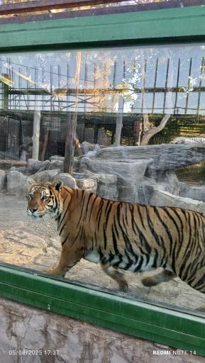 عکس باغ وحش وکیل آباد