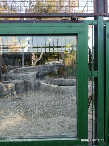 عکس باغ وحش وکیل آباد