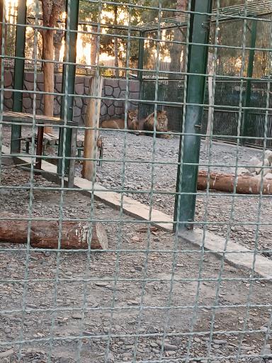 عکس باغ وحش وکیل آباد