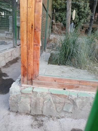 عکس باغ وحش وکیل آباد