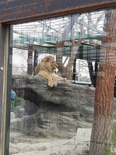 عکس باغ وحش وکیل آباد