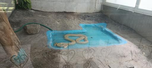 عکس باغ وحش وکیل آباد مشهد