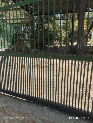 عکس باغ وحش وکیل آباد مشهد