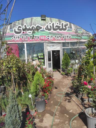 عکس گلخانه حمیدی