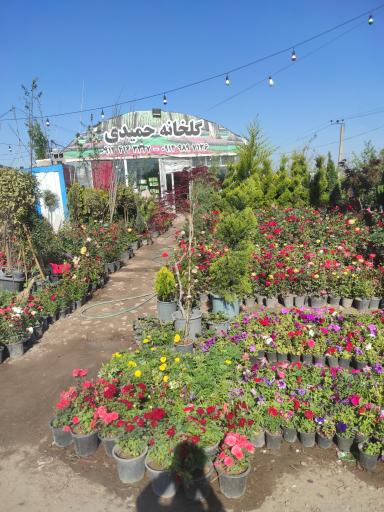 عکس گلخانه حمیدی