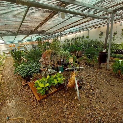 عکس خانه گل