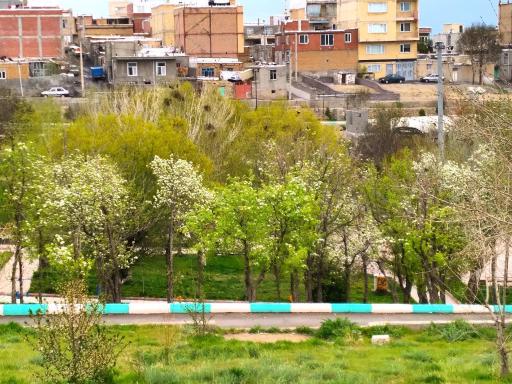 عکس پارک ملت