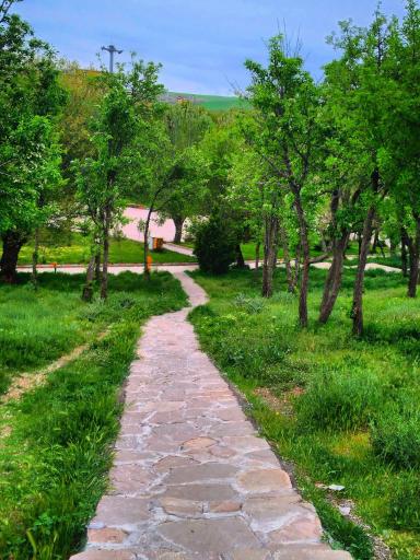 عکس پارک ملت