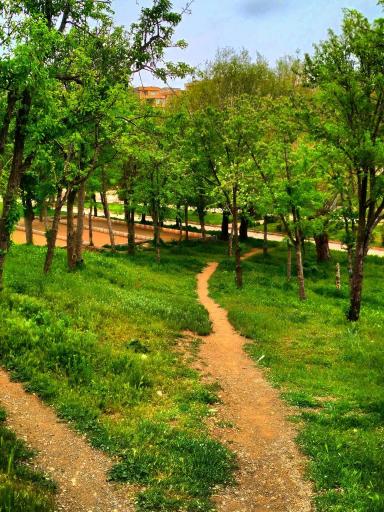 عکس پارک ملت