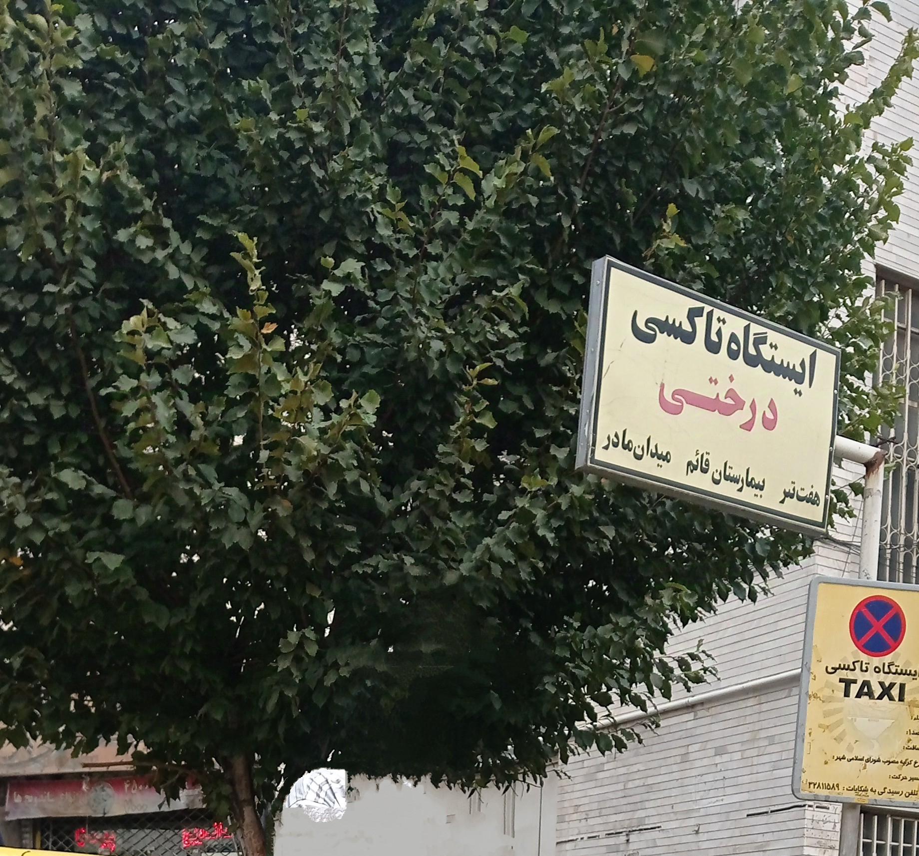 عکس ایستگاه تاکسی شاه عباسی - درختی