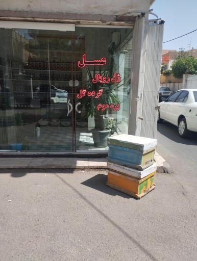 عسل هانی مارکت