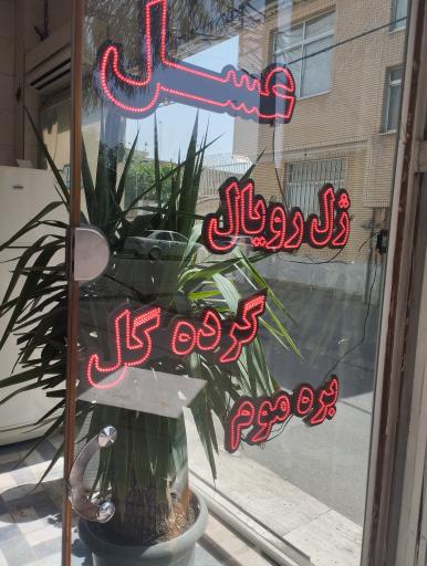 عسل هانی مارکت