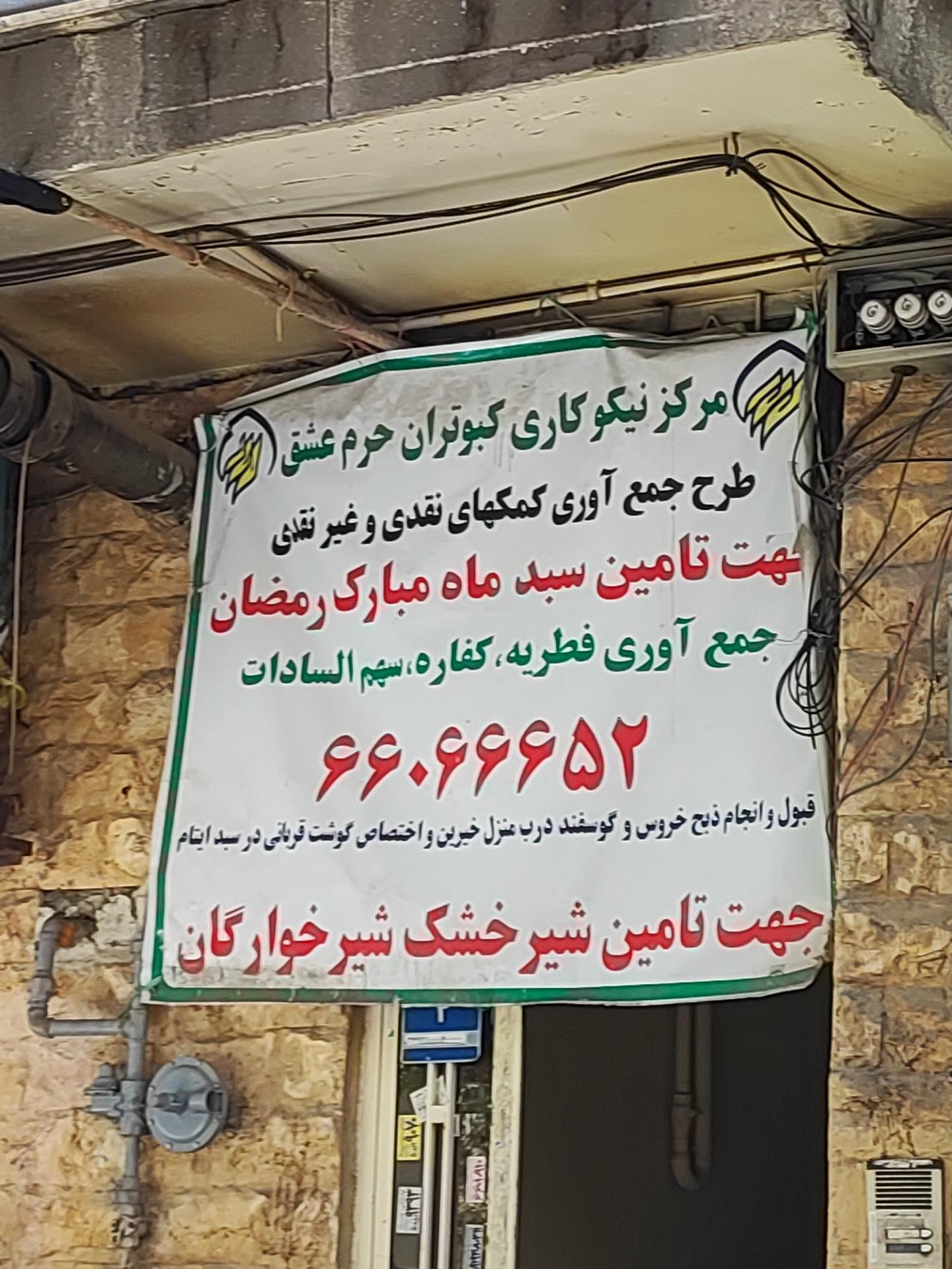 عکس کبوتران حرم عشق