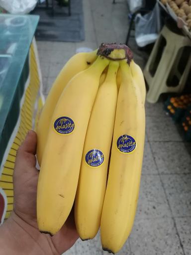 عکس میوه فروشی مدائن