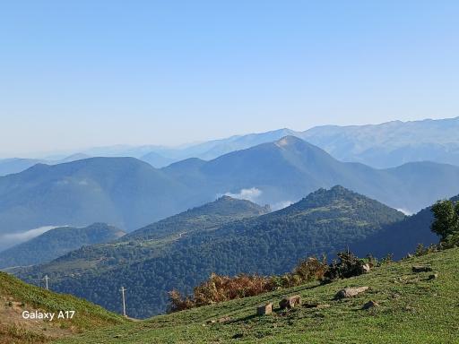 عکس متش
