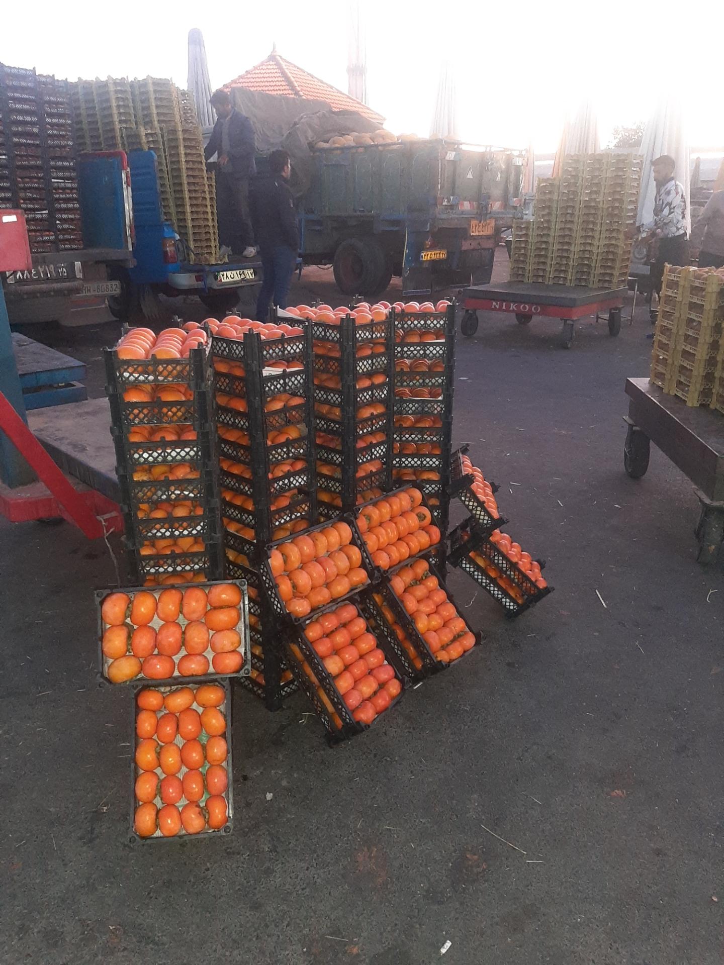 عکس بارفروشی آرنگ پور 