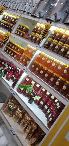 عکس فروشگاه عسل و تجهیزات زنبورداری البرز کوه جهرم