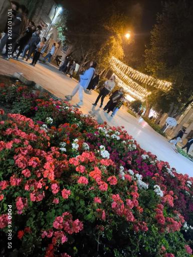 عکس پیاده راه چهارباغ 