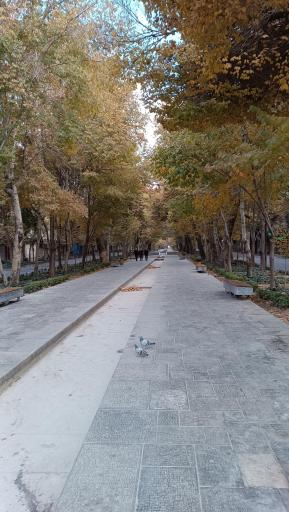 عکس پیاده راه چهارباغ 