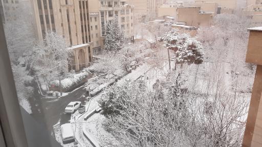 عکس بوستان باغ نظر